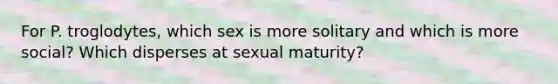 For P. troglodytes, which sex is more solitary and which is more social? Which disperses at sexual maturity?