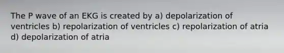 The P wave of an EKG is created by a) depolarization of ventricles b) repolarization of ventricles c) repolarization of atria d) depolarization of atria