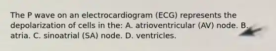 The P wave on an electrocardiogram (ECG) represents the depolarization of cells in the: A. atrioventricular (AV) node. B. atria. C. sinoatrial (SA) node. D. ventricles.