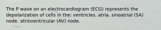 The P wave on an electrocardiogram (ECG) represents the depolarization of cells in the: ventricles. atria. sinoatrial (SA) node. atrioventricular (AV) node.