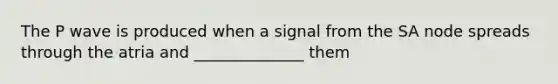 The P wave is produced when a signal from the SA node spreads through the atria and ______________ them