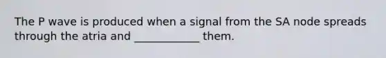 The P wave is produced when a signal from the SA node spreads through the atria and ____________ them.