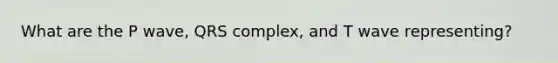 What are the P wave, QRS complex, and T wave representing?