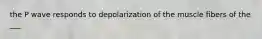 the P wave responds to depolarization of the muscle fibers of the ___