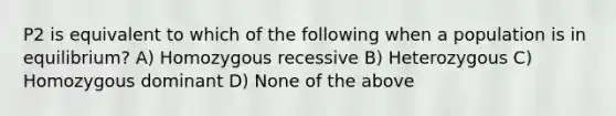 P2 is equivalent to which of the following when a population is in equilibrium? A) Homozygous recessive B) Heterozygous C) Homozygous dominant D) None of the above