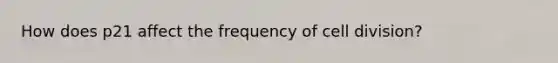 How does p21 affect the frequency of cell division?