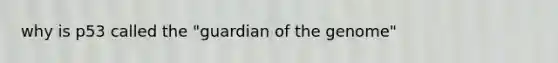 why is p53 called the "guardian of the genome"