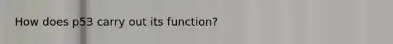 How does p53 carry out its function?