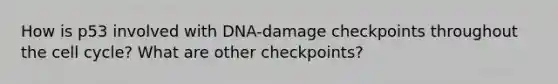 How is p53 involved with DNA-damage checkpoints throughout the cell cycle? What are other checkpoints?