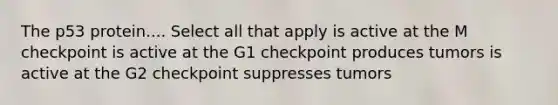 The p53 protein.... Select all that apply is active at the M checkpoint is active at the G1 checkpoint produces tumors is active at the G2 checkpoint suppresses tumors