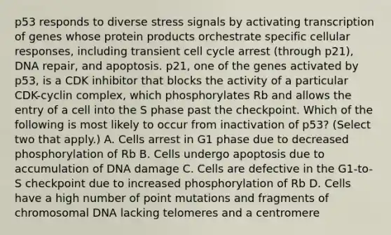 p53 responds to diverse stress signals by activating transcription of genes whose protein products orchestrate specific cellular responses, including transient cell cycle arrest (through p21), DNA repair, and apoptosis. p21, one of the genes activated by p53, is a CDK inhibitor that blocks the activity of a particular CDK-cyclin complex, which phosphorylates Rb and allows the entry of a cell into the S phase past the checkpoint. Which of the following is most likely to occur from inactivation of p53? (Select two that apply.) A. Cells arrest in G1 phase due to decreased phosphorylation of Rb B. Cells undergo apoptosis due to accumulation of DNA damage C. Cells are defective in the G1-to-S checkpoint due to increased phosphorylation of Rb D. Cells have a high number of point mutations and fragments of chromosomal DNA lacking telomeres and a centromere