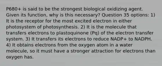 P680+ is said to be the strongest biological oxidizing agent. Given its function, why is this necessary? Question 35 options: 1) It is the receptor for the most excited electron in either photosystem of photosynthesis. 2) It is the molecule that transfers electrons to plastoquinone (Pq) of the electron transfer system. 3) It transfers its electrons to reduce NADP+ to NADPH. 4) It obtains electrons from the oxygen atom in a water molecule, so it must have a stronger attraction for electrons than oxygen has.