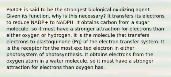 P680+ is said to be the strongest biological oxidizing agent. Given its function, why is this necessary? It transfers its electrons to reduce NADP+ to NADPH. It obtains carbon from a sugar molecule, so it must have a stronger attraction for electrons than either oxygen or hydrogen. It is the molecule that transfers electrons to plastoquinone (Pq) of the <a href='https://www.questionai.com/knowledge/kzP6QOcY63-electron-transfer' class='anchor-knowledge'>electron transfer</a> system. It is the receptor for the most excited electron in either photosystem of photosynthesis. It obtains electrons from the oxygen atom in a water molecule, so it must have a stronger attraction for electrons than oxygen has.