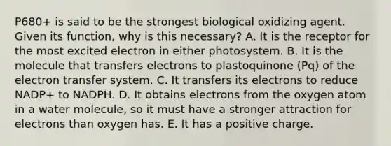 P680+ is said to be the strongest biological oxidizing agent. Given its function, why is this necessary? A. It is the receptor for the most excited electron in either photosystem. B. It is the molecule that transfers electrons to plastoquinone (Pq) of the electron transfer system. C. It transfers its electrons to reduce NADP+ to NADPH. D. It obtains electrons from the oxygen atom in a water molecule, so it must have a stronger attraction for electrons than oxygen has. E. It has a positive charge.