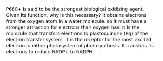 P680+ is said to be the strongest biological oxidizing agent. Given its function, why is this necessary? It obtains electrons from the oxygen atom in a water molecule, so it must have a stronger attraction for electrons than oxygen has. It is the molecule that transfers electrons to plastoquinone (Pq) of the electron transfer system. It is the receptor for the most excited electron in either photosystem of photosynthesis. It transfers its electrons to reduce NADP+ to NADPH.