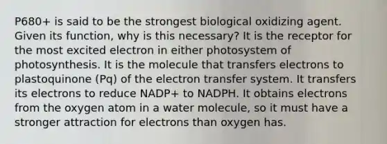 P680+ is said to be the strongest biological oxidizing agent. Given its function, why is this necessary? It is the receptor for the most excited electron in either photosystem of photosynthesis. It is the molecule that transfers electrons to plastoquinone (Pq) of the electron transfer system. It transfers its electrons to reduce NADP+ to NADPH. It obtains electrons from the oxygen atom in a water molecule, so it must have a stronger attraction for electrons than oxygen has.