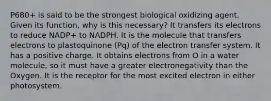 P680+ is said to be the strongest biological oxidizing agent. Given its function, why is this necessary? It transfers its electrons to reduce NADP+ to NADPH. It is the molecule that transfers electrons to plastoquinone (Pq) of the <a href='https://www.questionai.com/knowledge/kzP6QOcY63-electron-transfer' class='anchor-knowledge'>electron transfer</a> system. It has a positive charge. It obtains electrons from O in a water molecule, so it must have a greater electronegativity than the Oxygen. It is the receptor for the most excited electron in either photosystem.