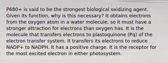 P680+ is said to be the strongest biological oxidizing agent. Given its function, why is this necessary? It obtains electrons from the oxygen atom in a water molecule, so it must have a stronger attraction for electrons than oxygen has. It is the molecule that transfers electrons to plastoquinone (Pq) of the electron transfer system. It transfers its electrons to reduce NADP+ to NADPH. It has a positive charge. It is the receptor for the most excited electron in either photosystem.