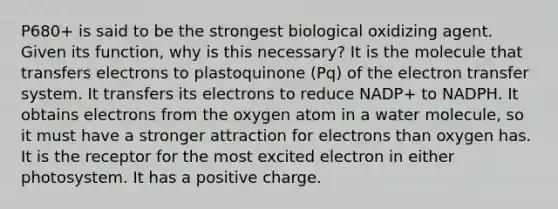 P680+ is said to be the strongest biological oxidizing agent. Given its function, why is this necessary? It is the molecule that transfers electrons to plastoquinone (Pq) of the electron transfer system. It transfers its electrons to reduce NADP+ to NADPH. It obtains electrons from the oxygen atom in a water molecule, so it must have a stronger attraction for electrons than oxygen has. It is the receptor for the most excited electron in either photosystem. It has a positive charge.