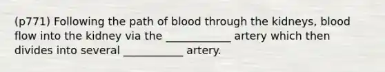 (p771) Following the path of blood through the kidneys, blood flow into the kidney via the ____________ artery which then divides into several ___________ artery.