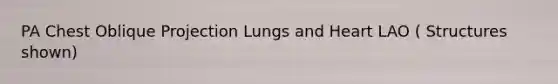 PA Chest Oblique Projection Lungs and Heart LAO ( Structures shown)