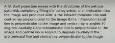 A PA skull projection image with the structures of the petrous pyramids completely filling the boney orbits, is an indication that the image was produced with: A.the infraorbitomeatal line and central ray perpendicular to the image B.the infraorbitomeatal line is perpendicular to the image and central ray is angled 20 degrees caudally C.the orbitomeatal line is perpendicular to the image and central ray is angled 15 degrees caudally D.the orbitomeatal line and central ray perpendicular to the image