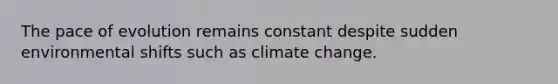 The pace of evolution remains constant despite sudden environmental shifts such as climate change.