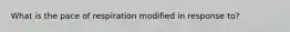 What is the pace of respiration modified in response to?