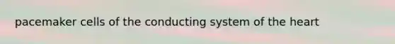 pacemaker cells of the conducting system of the heart