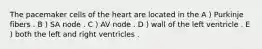 The pacemaker cells of the heart are located in the A ) Purkinje fibers . B ) SA node . C ) AV node . D ) wall of the left ventricle . E ) both the left and right ventricles .