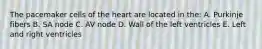 The pacemaker cells of the heart are located in the: A. Purkinje fibers B. SA node C. AV node D. Wall of the left ventricles E. Left and right ventricles