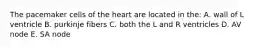 The pacemaker cells of the heart are located in the: A. wall of L ventricle B. purkinje fibers C. both the L and R ventricles D. AV node E. SA node