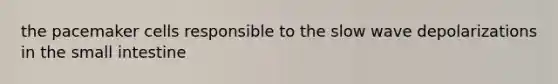 the pacemaker cells responsible to the slow wave depolarizations in the small intestine