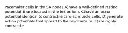 Pacemaker cells in the SA node1 A)have a well-defined resting potential. B)are located in the left atrium. C)have an action potential identical to contractile cardiac muscle cells. D)generate action potentials that spread to the myocardium. E)are highly contractile