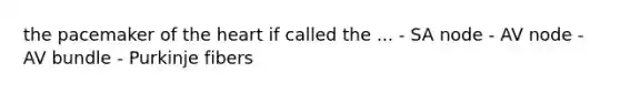 the pacemaker of <a href='https://www.questionai.com/knowledge/kya8ocqc6o-the-heart' class='anchor-knowledge'>the heart</a> if called the ... - SA node - AV node - AV bundle - Purkinje fibers