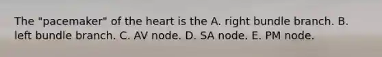 The "pacemaker" of the heart is the A. right bundle branch. B. left bundle branch. C. AV node. D. SA node. E. PM node.