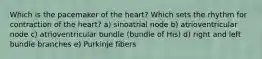 Which is the pacemaker of the heart? Which sets the rhythm for contraction of the heart? a) sinoatrial node b) atrioventricular node c) atrioventricular bundle (bundle of His) d) right and left bundle branches e) Purkinje fibers