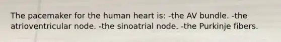 The pacemaker for the human heart is: -the AV bundle. -the atrioventricular node. -the sinoatrial node. -the Purkinje fibers.