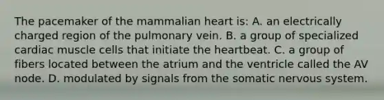 The pacemaker of the mammalian heart is: A. an electrically charged region of the pulmonary vein. B. a group of specialized cardiac muscle cells that initiate the heartbeat. C. a group of fibers located between the atrium and the ventricle called the AV node. D. modulated by signals from the somatic nervous system.