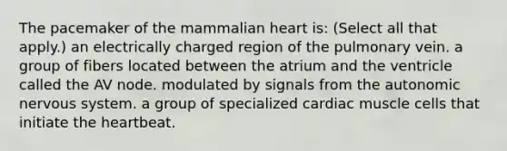 The pacemaker of the mammalian heart is: (Select all that apply.) an electrically charged region of the pulmonary vein. a group of fibers located between the atrium and the ventricle called the AV node. modulated by signals from the autonomic nervous system. a group of specialized cardiac muscle cells that initiate the heartbeat.