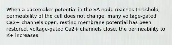 When a pacemaker potential in the SA node reaches threshold, permeability of the cell does not change. many voltage-gated Ca2+ channels open. resting membrane potential has been restored. voltage-gated Ca2+ channels close. the permeability to K+ increases.