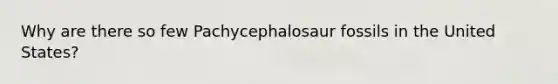Why are there so few Pachycephalosaur fossils in the United States?