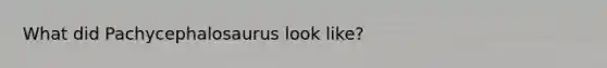 What did Pachycephalosaurus look like?