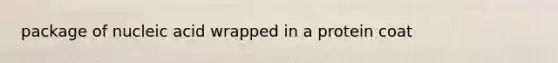package of nucleic acid wrapped in a protein coat