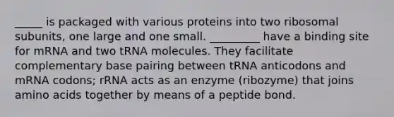 _____ is packaged with various proteins into two ribosomal subunits, one large and one small. _________ have a binding site for mRNA and two tRNA molecules. They facilitate complementary base pairing between tRNA anticodons and mRNA codons; rRNA acts as an enzyme (ribozyme) that joins amino acids together by means of a peptide bond.