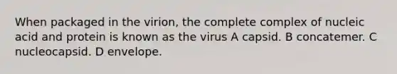 When packaged in the virion, the complete complex of nucleic acid and protein is known as the virus A capsid. B concatemer. C nucleocapsid. D envelope.