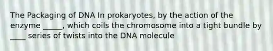 The Packaging of DNA In prokaryotes, by the action of the enzyme _____, which coils the chromosome into a tight bundle by ____ series of twists into the DNA molecule