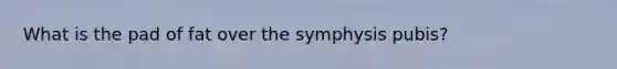 What is the pad of fat over the symphysis pubis?