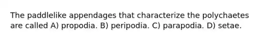 The paddlelike appendages that characterize the polychaetes are called A) propodia. B) peripodia. C) parapodia. D) setae.