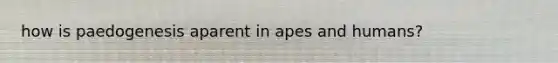 how is paedogenesis aparent in apes and humans?